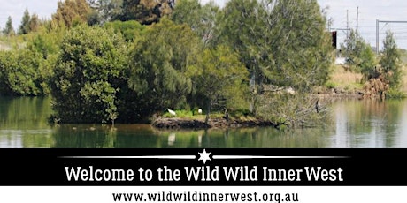 WWIW: River of Goolay'yari Aboriginal Culture & Ecology Walk primary image