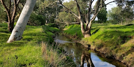 Nature Play at Bendigo Creek primary image