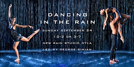 Dancing in the Rain - LED Lighting Workshop with George Simian primary image