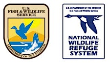 Organizer profile image