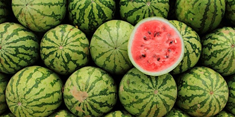 Arizona Wilderness Brewing Co. Watermelon Eating Contest primary image