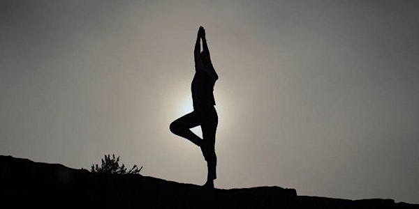 Yoga and Mindfulness – Stress Reduction for Lawyers, Judges and Law Student...