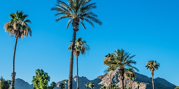 [Palm Springs] Happy Hour Among the Palms
