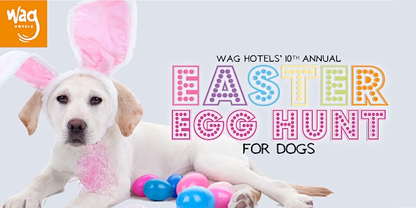 Wag Hotels' 10th Annual Easter Egg Hunt for Dogs- Sacramento