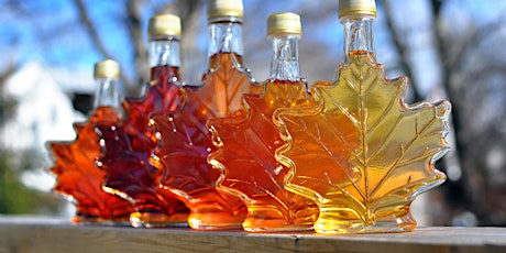 Hauptbild für Maple Syrup