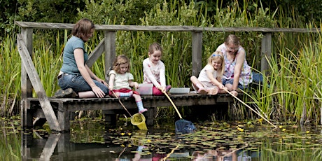 Members Only - Family Pond Dipping at Brandon