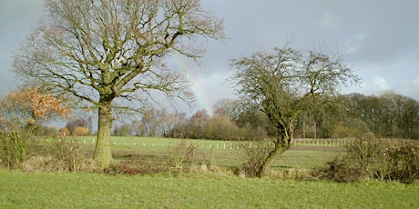 Farm trees and woodlands - Managing pests and diseases primary image