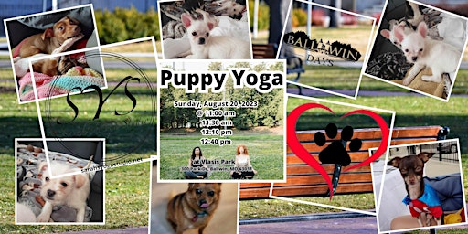 Puppy Yoga at Ballwin Days primary image
