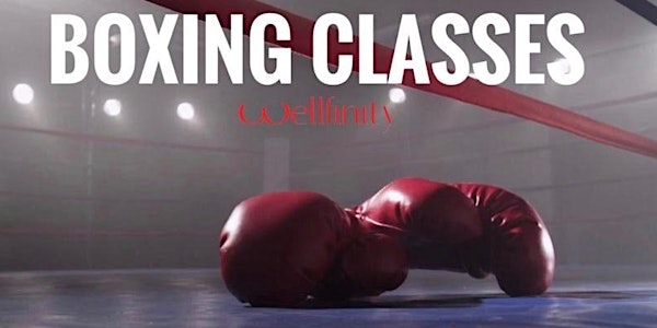 Wellfinity 6 Week Boxing Course : TRAINING STARTS 18th FEB : Limited Spaces