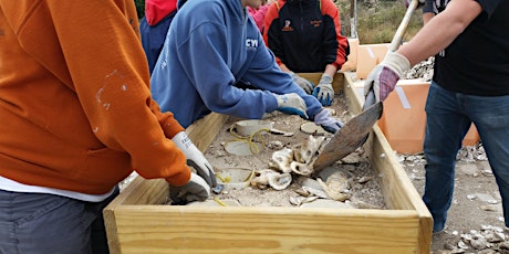 Volunteer Shell Bagging Event-October 21st-Philadelphia primary image