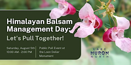 Himalayan Balsam Management Day: Let's Pull Together! primary image