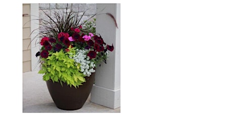 Container Garden primary image