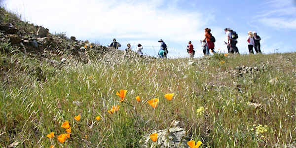 RAIN CHECK Coyote Ridge Docent-Led Wildflower Hikes 