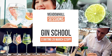 Gin School - Meadowhall Sessions primary image