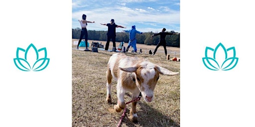 Imagem principal do evento Goat Yoga at Yellow River Park