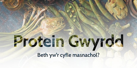 Protein Gwyrdd - Beth yw'r cyfle masnachol? primary image