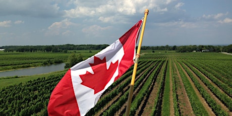 Join Jamie Goode for a Tasting of the Wines of Canada primary image
