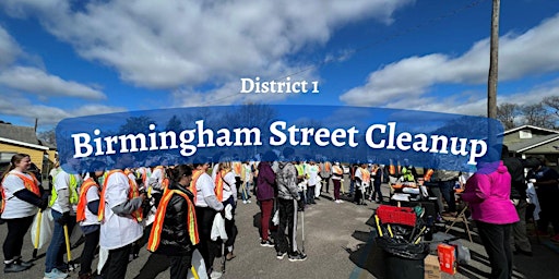 Birmingham Street Cleanup - District 1 primary image