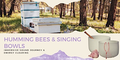 Image principale de Humming Bees & Singing Bowls Shamanic Sound Bath