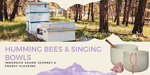 Imagen principal de Humming Bees & Singing Bowls Shamanic Sound Bath