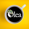 Logotipo de Olivia Halsall, Founder @ Olea Education