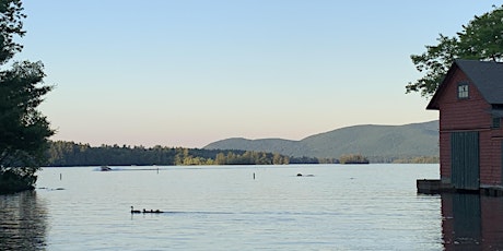 Primaire afbeelding van Exploring Birds and Conservation in the Squam Lakes Region