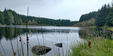 Gaelic Landscape Walk - Eas Mòr and Loch Garbad primary image