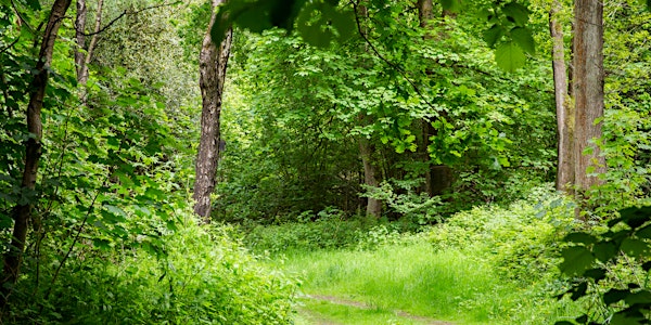 National Trust Forest Bathing at Standen - Emma Weaver (May - July)
