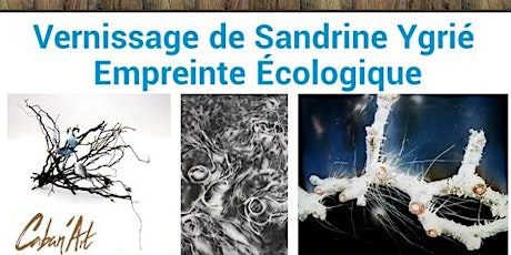 Image principale de  Vernissage conté Sandrine Ygrié empreinte écologique