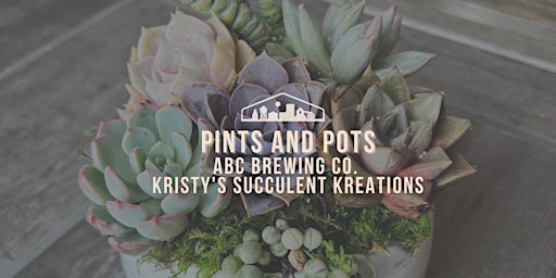 Pints & Pots Succulent Arrangement Workshop at ABC Brewing Battle Lake, MN primary image