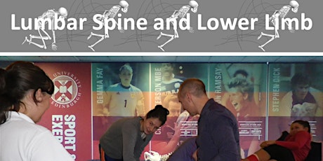 Lumbar Spine and Lower Limb primary image