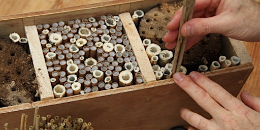 Making Space For Wildlife: DIY Bee and bug hotels primary image