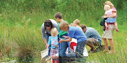 Immagine principale di Idle Valley Spring Festival: Pond Dipping 