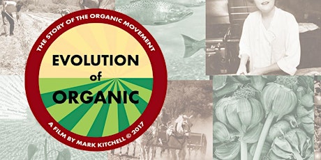 Evolution of Organic primary image