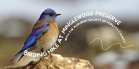 Birding Hike at Minglewood with the Audubon Society of Forsyth County primary image