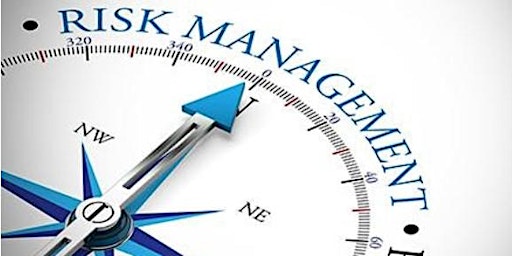 Imagem principal de Managing Project Risk [ONLINE]
