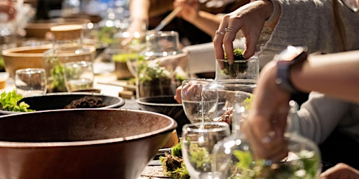 Earth Month:Terrarium Workshop with Botanical Boys primary image