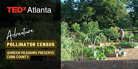 TEDxATL Adventure: 2023 Pollinator Census - Cobb County Edition primary image