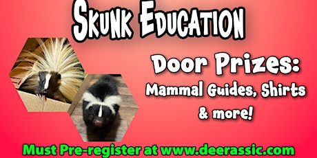Imagen principal de Wild Wednesday -  Skunk Education
