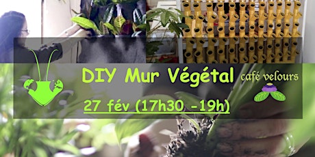 DIY - Mur végétal primary image