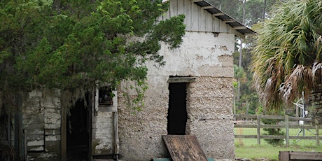 Day Trip and Tour of Ossabaw Island's North End