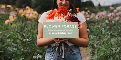 Golden Hour Flower Foraging primary image
