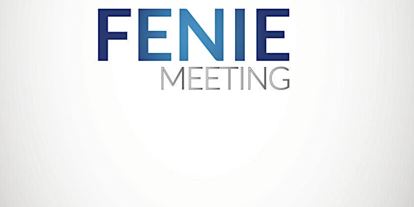 FENIE MEETING 