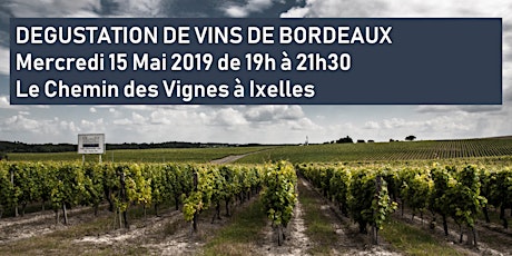 Le Chemin des Vignes Ixelles | Dégustation de Vins de Bordeaux