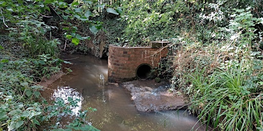 Immagine principale di Outfall Observation Safari with Sherbourne Valley Project & Severn Trent 