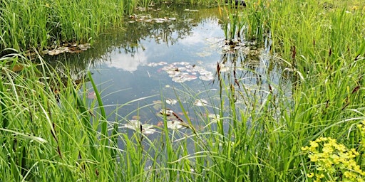 Creating and Maintaining Ponds for Wildlife primary image