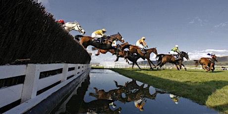 Cheltenham November Race Preview Night