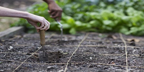 Ochs Community Garden Plot primary image