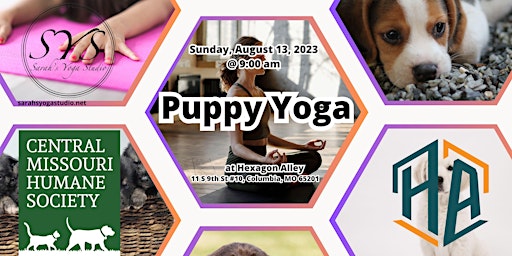 Puppy Yoga at Hexagon Alley primary image
