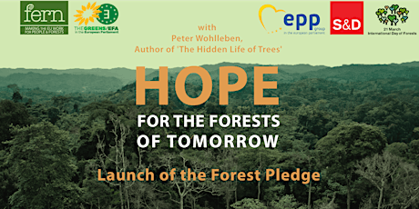 Hope for the forests of tomorrow